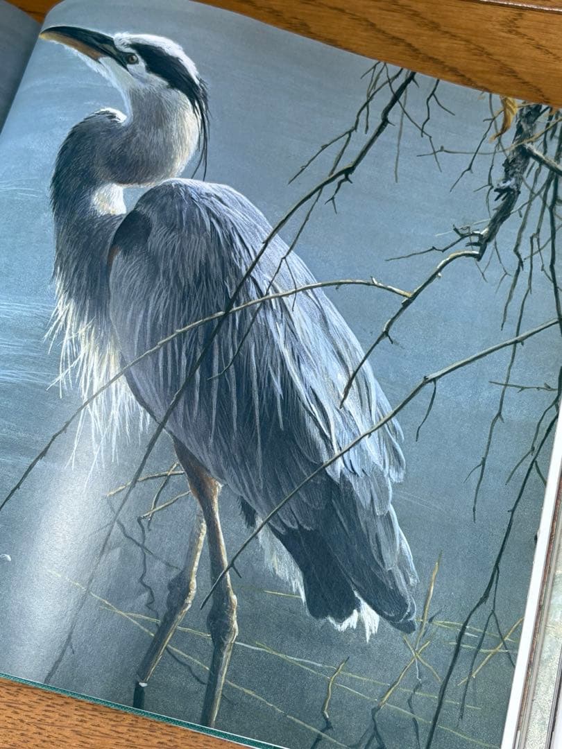 ロバートベイトマン画集【BIRDS】 洋書・野鳥画