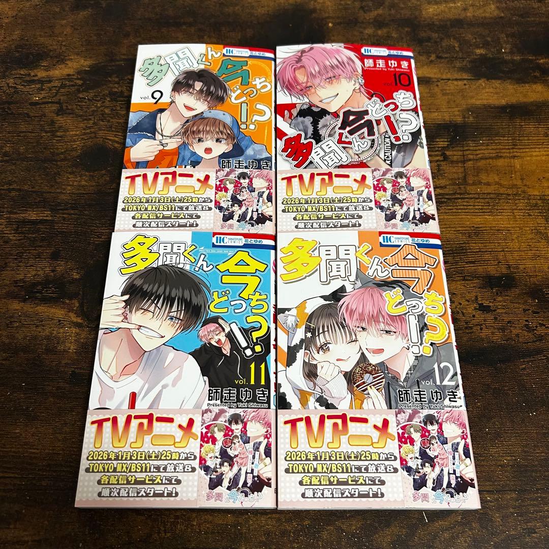 【新品・未読】多聞くん今どっち！？ 全巻セット　花とゆめ　白泉社　③