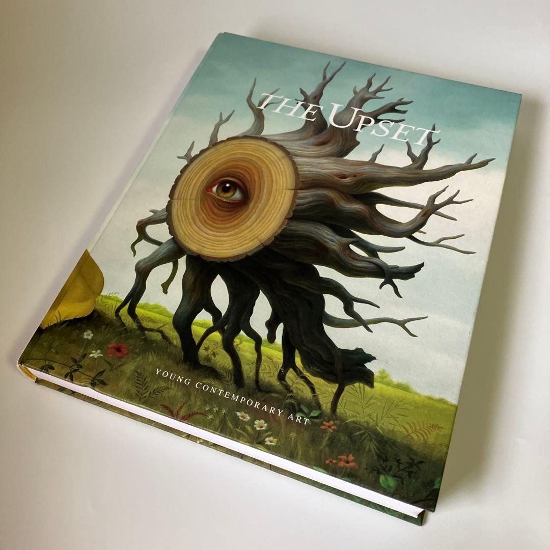 洋書 THE UPSET YOUNG CONTEMPORARY ART