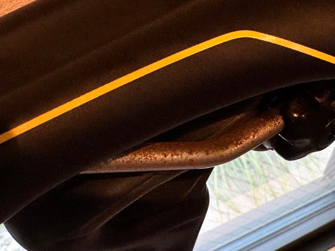 自転車本体 Specialized 2017 Roubaix Comp