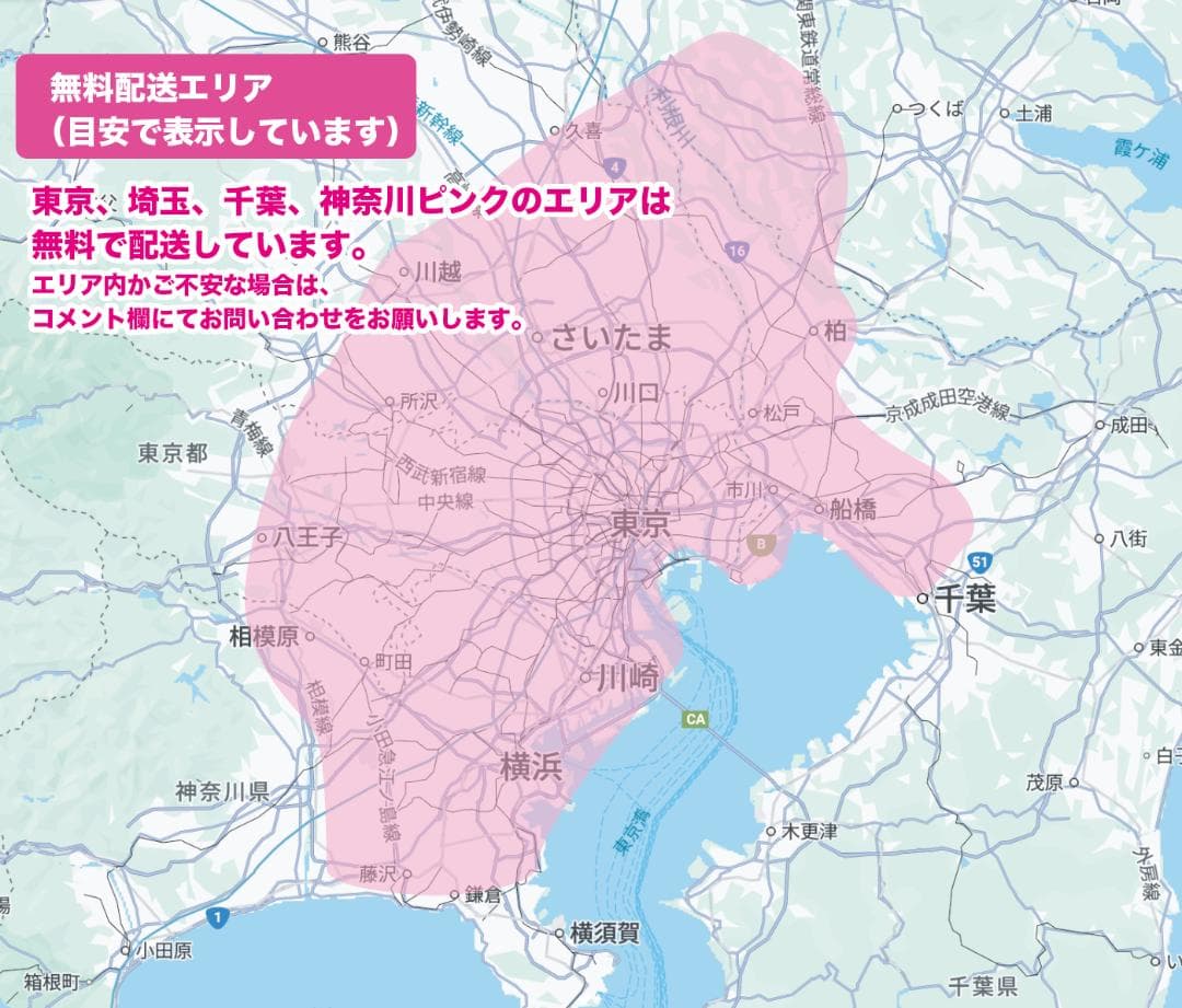 大幅値下《YAMAHA》20インチ子供のせ電動アシスト自転車パスキスNZ3142