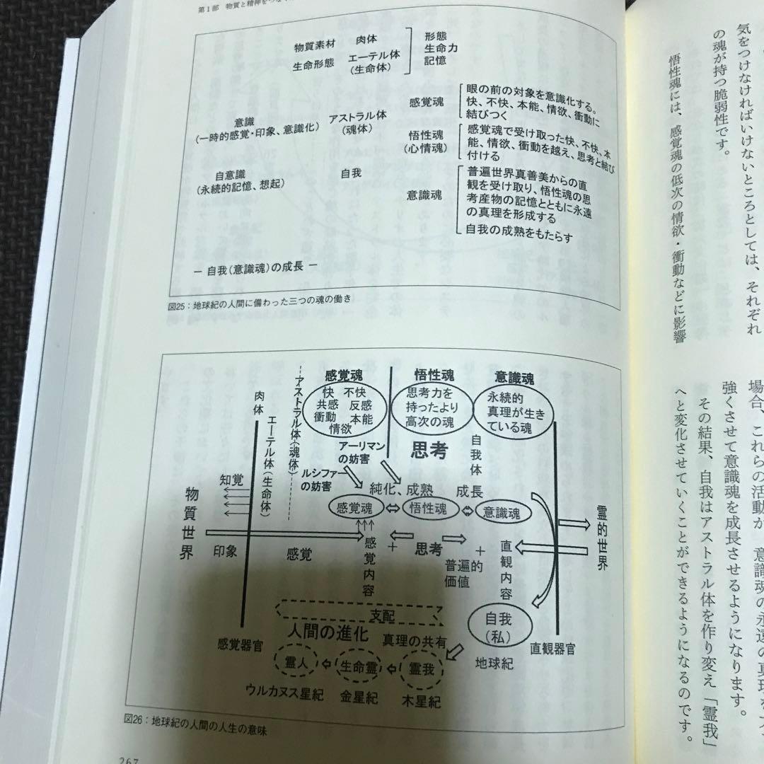 【希少】シュタイナー思想とヌーソロジー