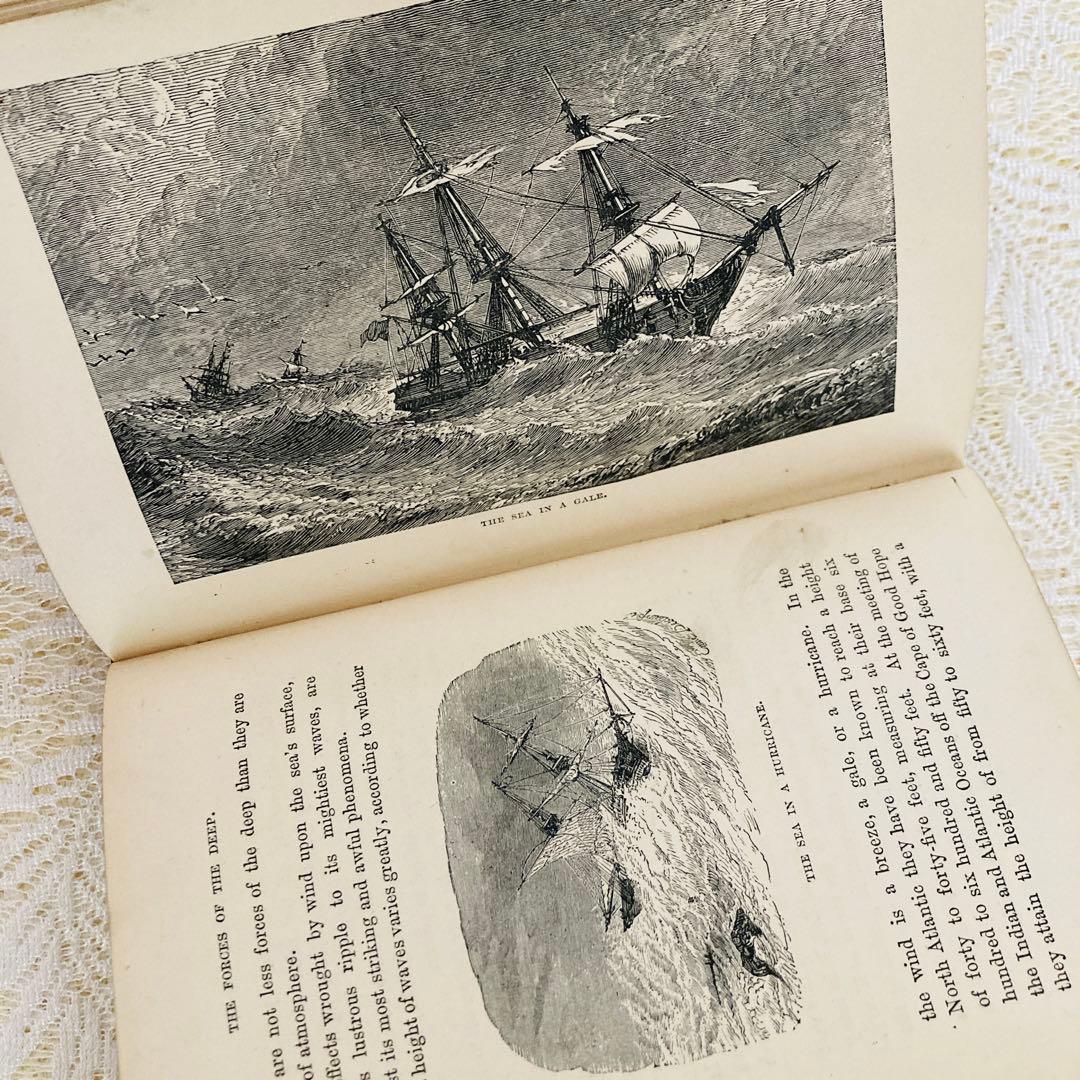 洋書　古書　美しいアンティークブック　1880年発行　海の驚異　海の生き物　自然