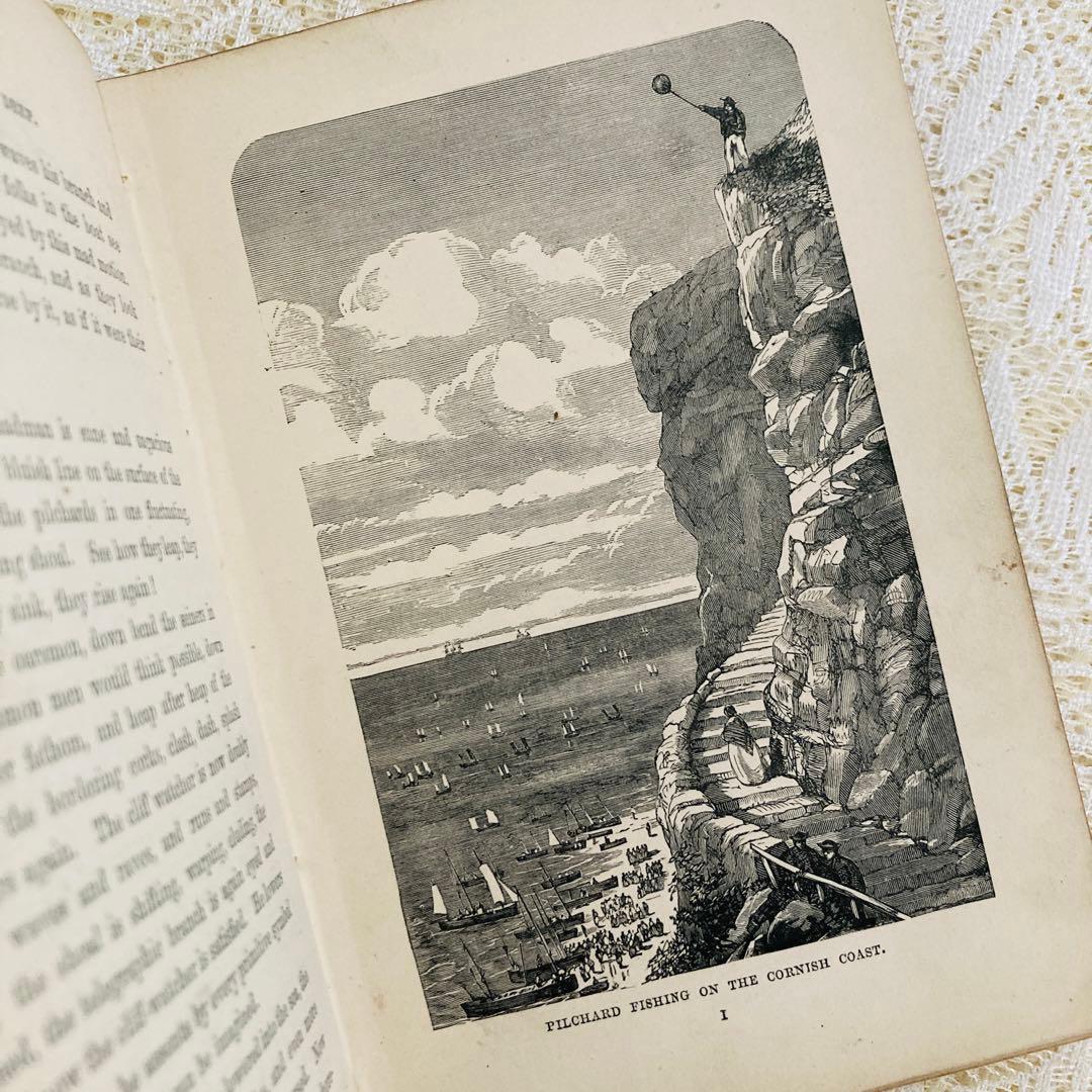洋書　古書　美しいアンティークブック　1880年発行　海の驚異　海の生き物　自然