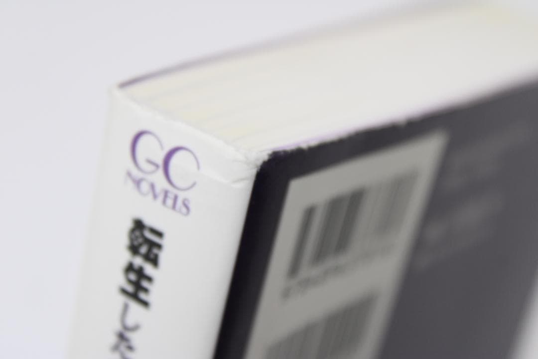 転生したらスライムだった件 1-19巻 小説 03-TO1225-15