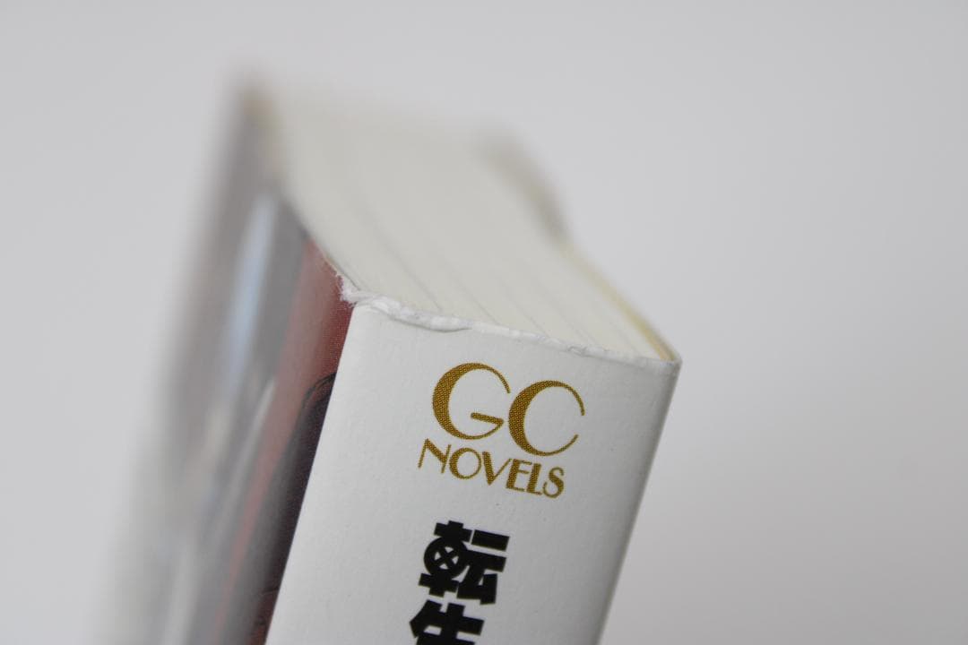 転生したらスライムだった件 1-19巻 小説 03-TO1225-15