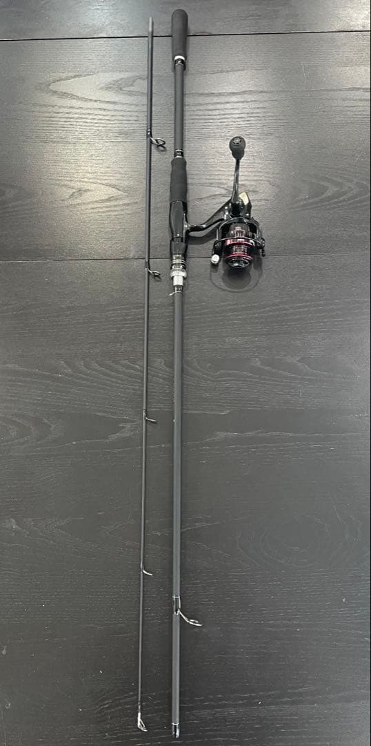 エギングデビュー2ピーススピニングロッド&3000番リールイカエギ他PEライン付