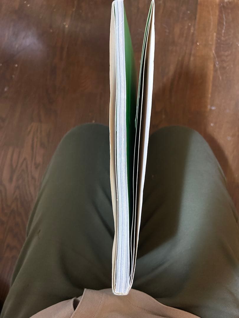 【レア・たま写真集】『きゃべつ』 川本勝雄撮影バンド「たま」公式写真集 第2刷