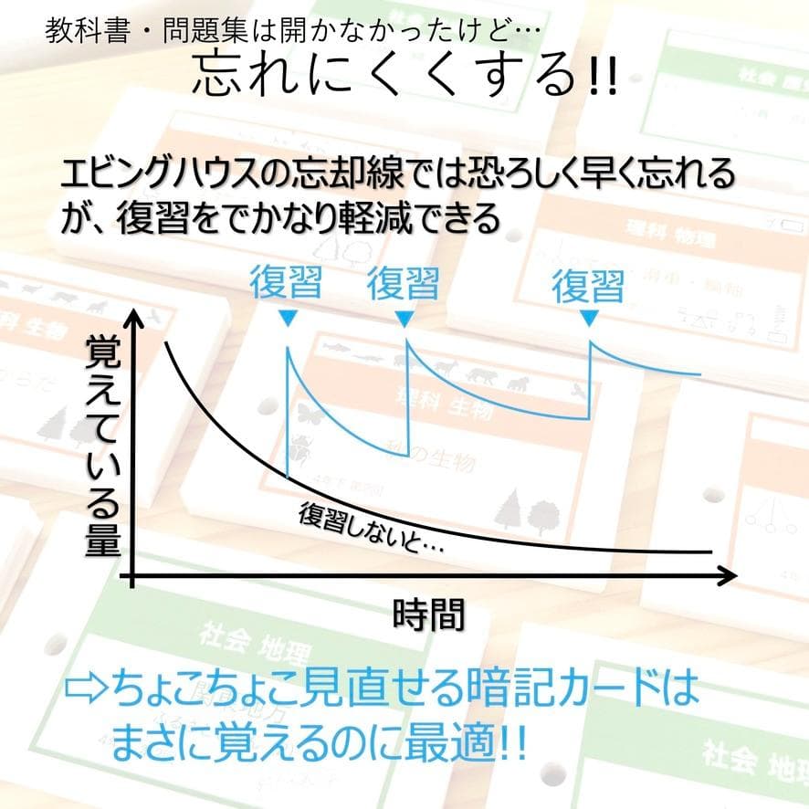 中学受験【4年上ハーフセット 社会・理科11-19回】組分けテスト対策 予シリ
