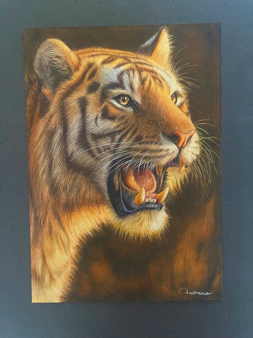 色鉛筆画A4 虎.21