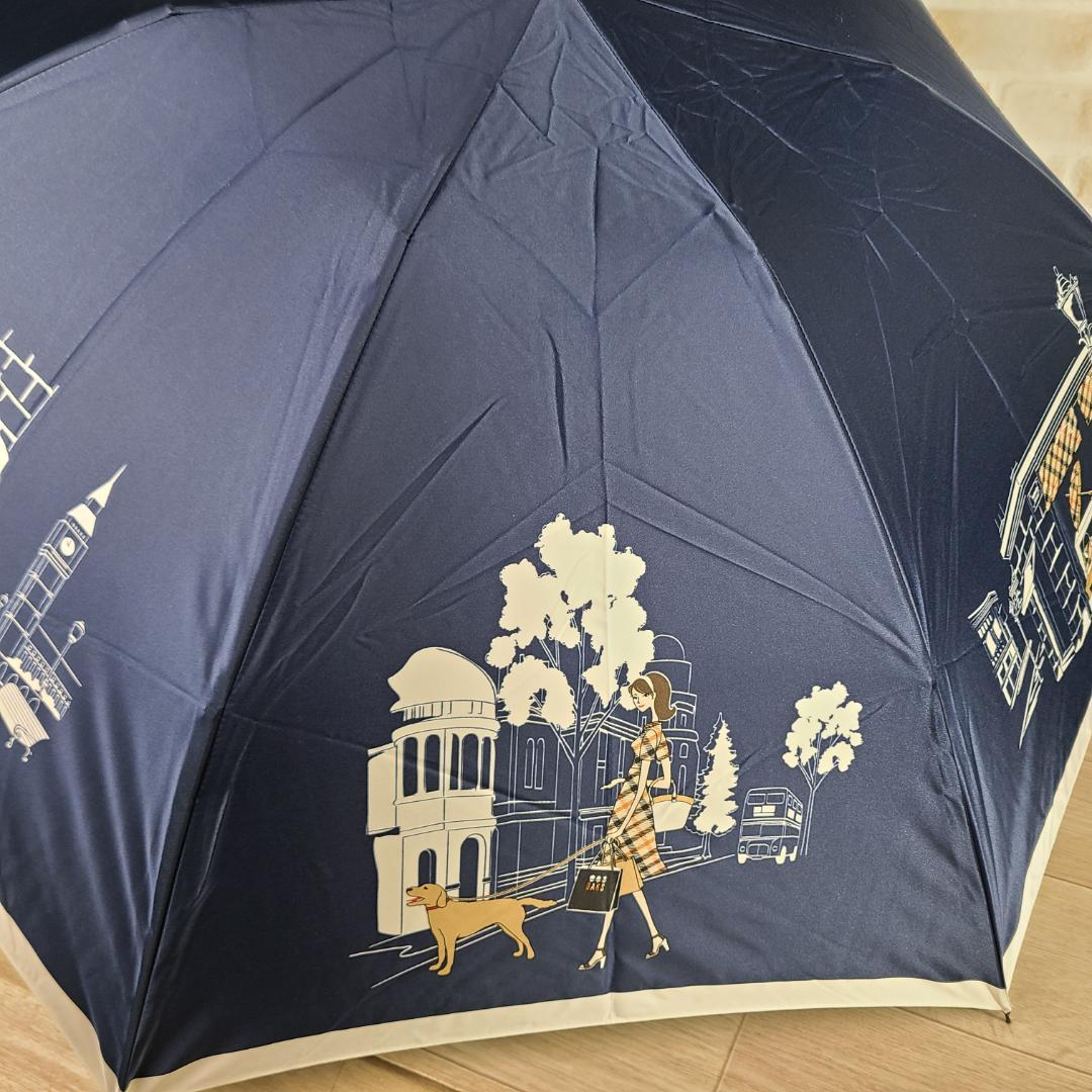 DAKS　ダックス　折りたたみ傘　雨傘　ムーンバット