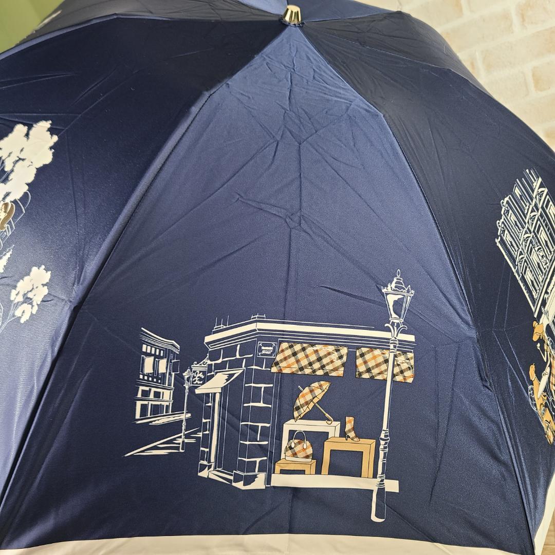 DAKS　ダックス　折りたたみ傘　雨傘　ムーンバット