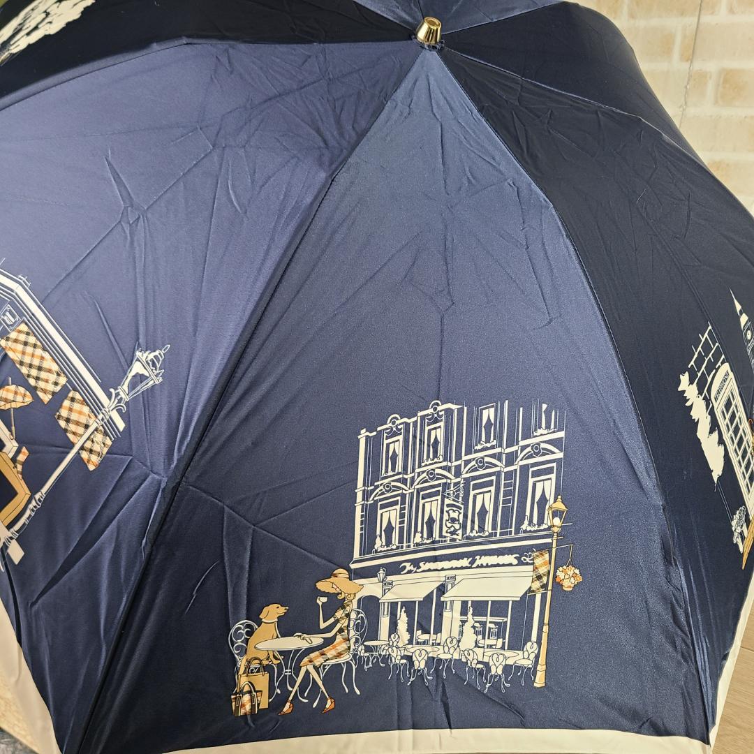 DAKS　ダックス　折りたたみ傘　雨傘　ムーンバット