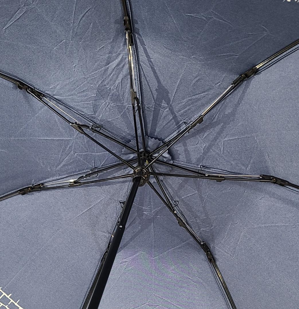 DAKS　ダックス　折りたたみ傘　雨傘　ムーンバット