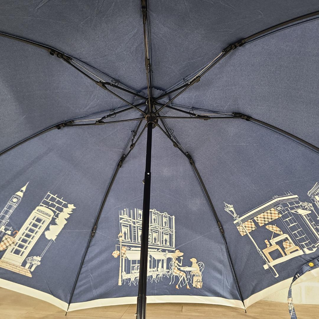 DAKS　ダックス　折りたたみ傘　雨傘　ムーンバット