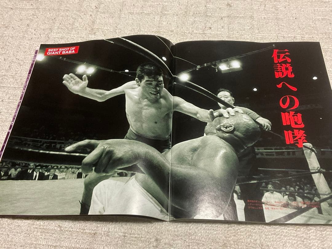 我が心のジャイアント馬場・完全保存版／日刊スポーツグラフ。【66頁　美品】