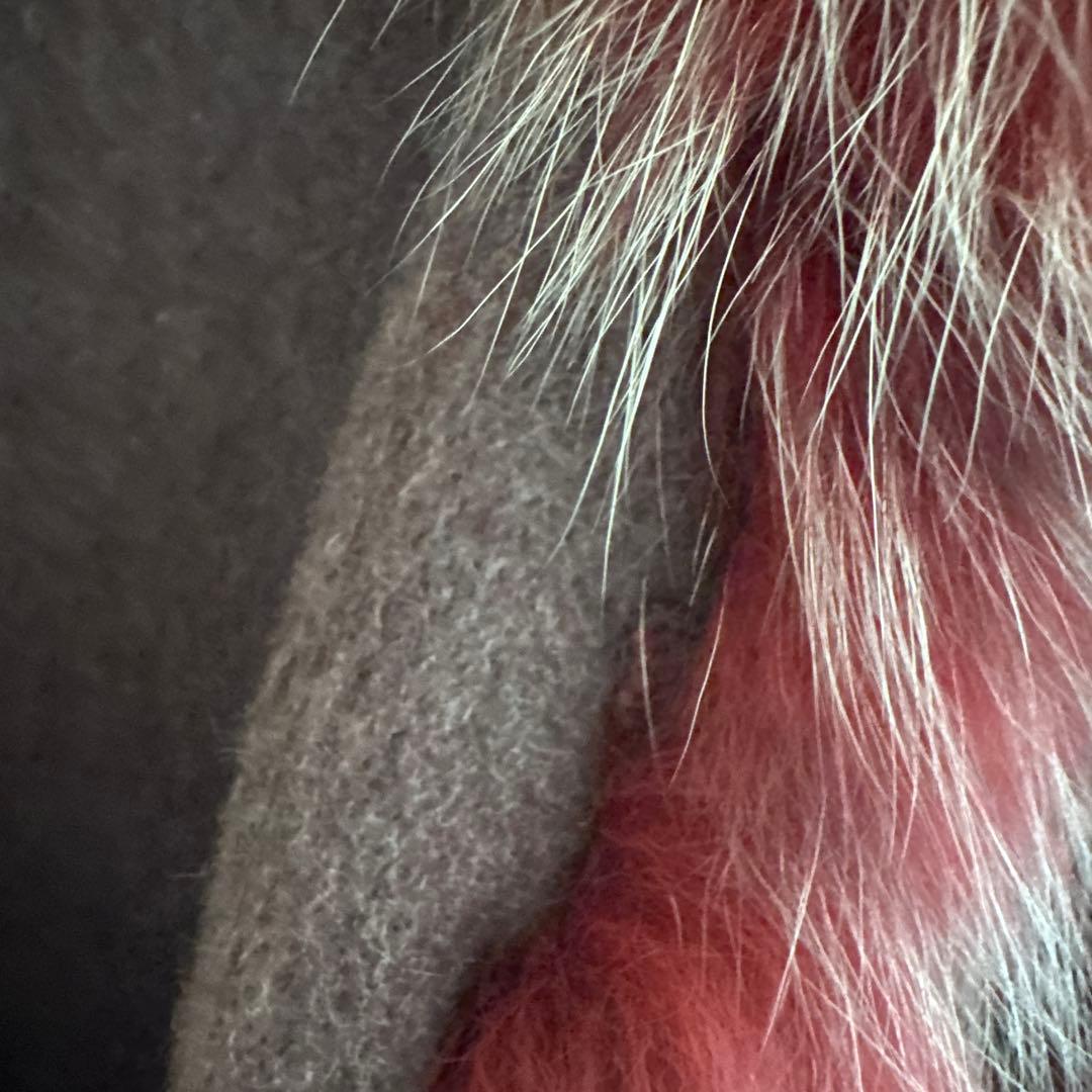 LANVIN COLLECTIONランバンコレクション　カシミヤポンチョ