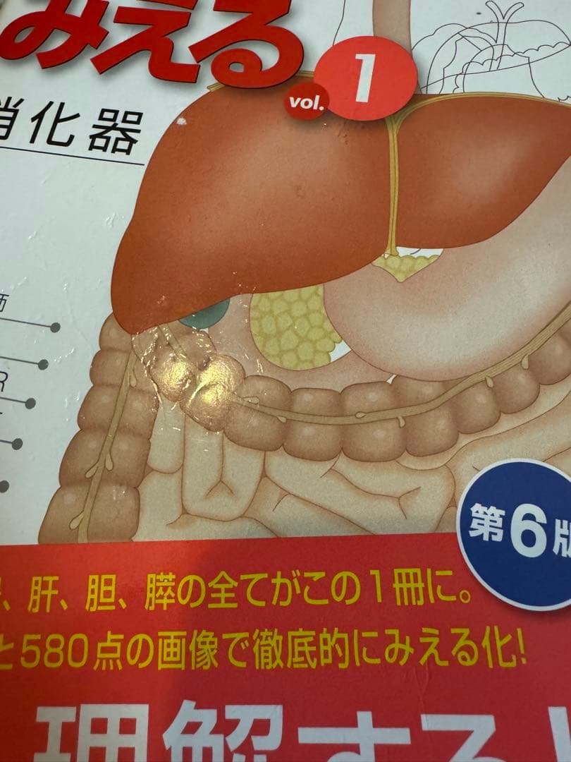 病気がみえる 1-14冊セット　医学　看護学　まとめ売り