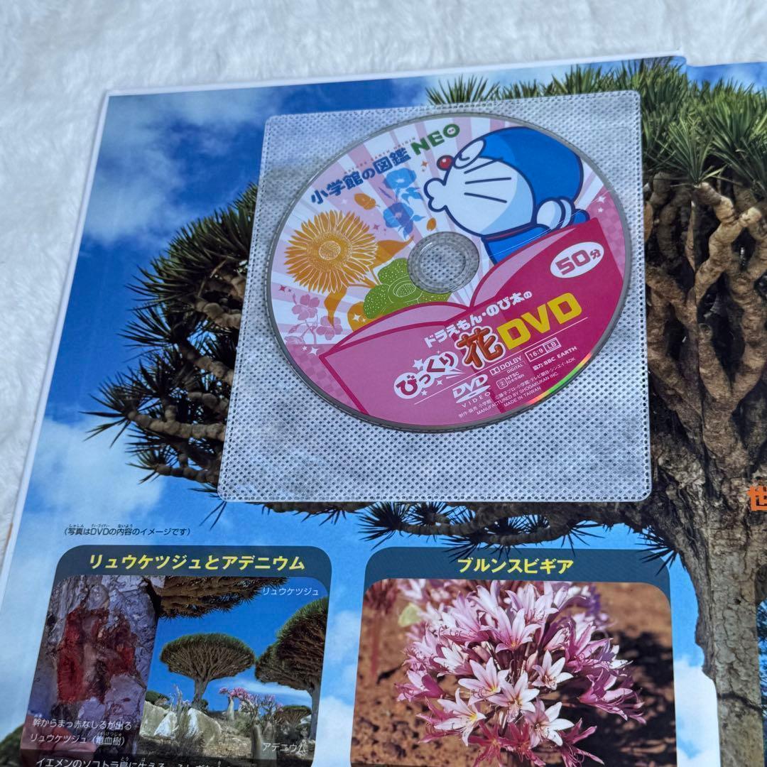 【良品】小学館の図鑑NEO 全巻20冊セット （付録つき多数）