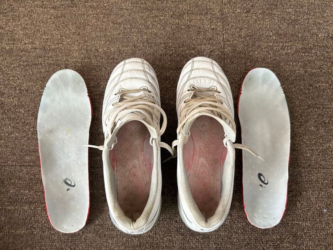 モレリアネオ3ジャパン、DS light X-fly5 24.5cm 2足セット