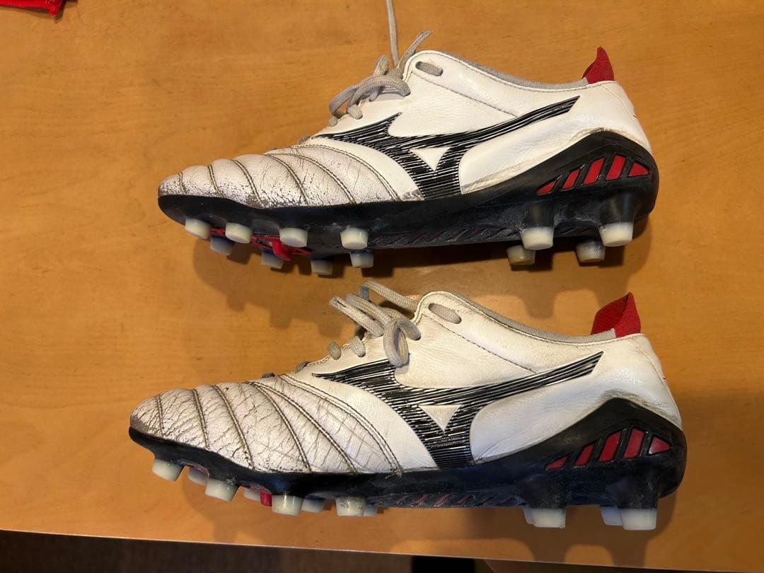 モレリアネオ3ジャパン、DS light X-fly5 24.5cm 2足セット