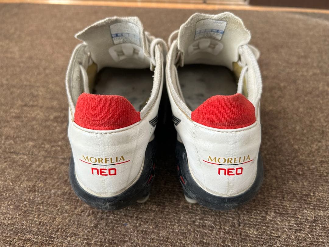 モレリアネオ3ジャパン、DS light X-fly5 24.5cm 2足セット