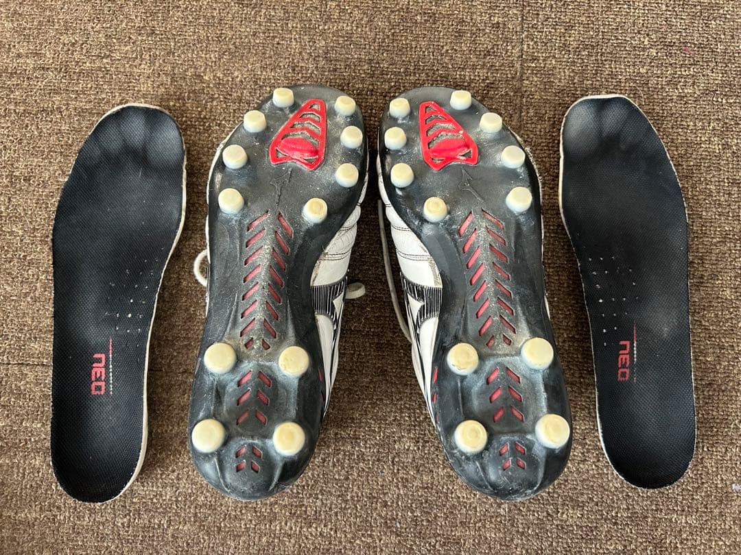 モレリアネオ3ジャパン、DS light X-fly5 24.5cm 2足セット