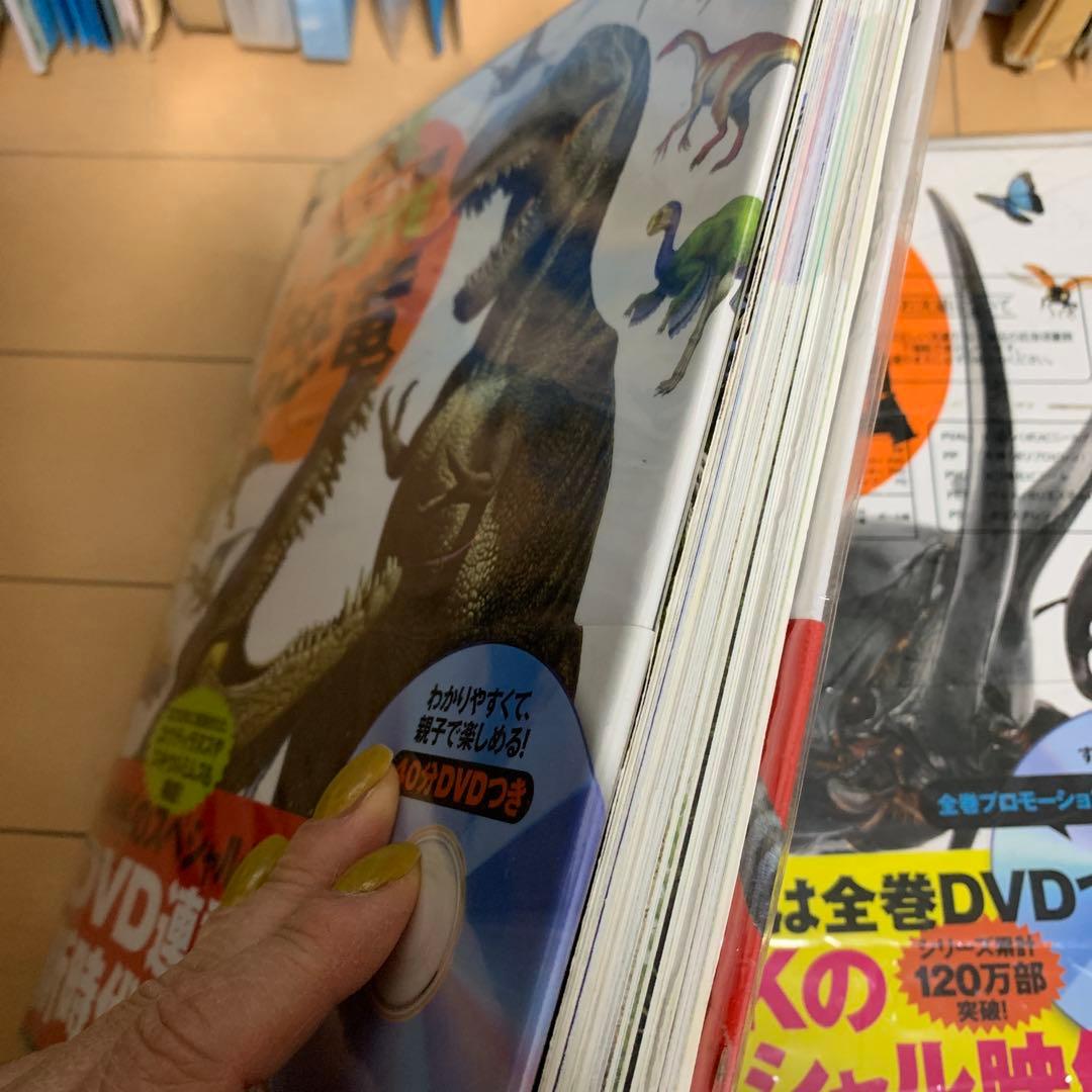 小学館の図鑑NEO 動物 DVD付き12冊