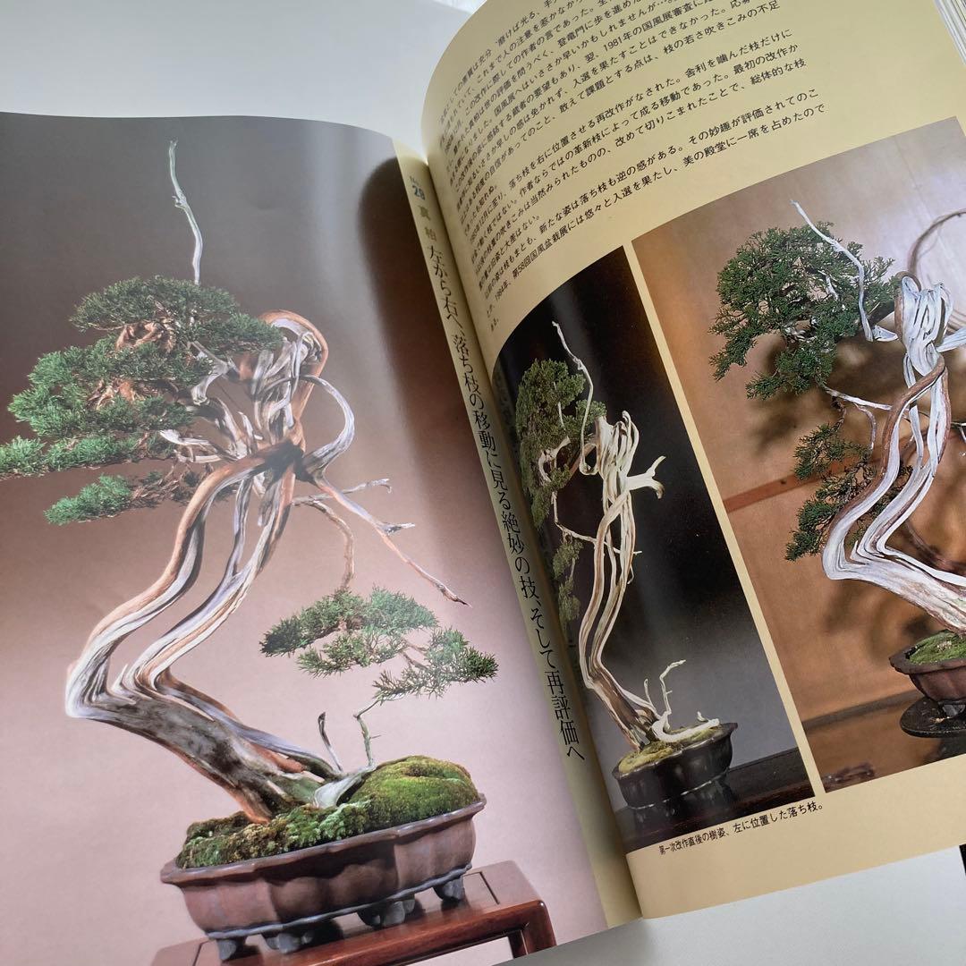 月刊近代盆栽別冊　現代盆栽技術の神髄　木村正彦の世界PART2