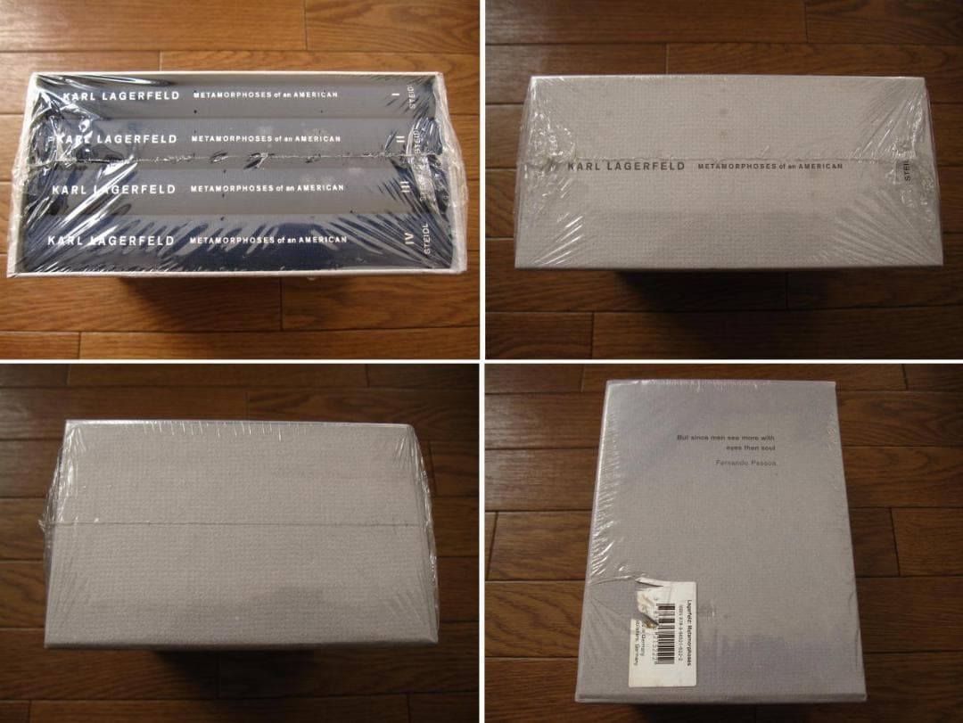 アート・デザイン・音楽 morphoses of an American