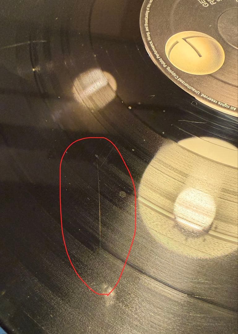 洋楽 slash's snakepit LP 2LP/EU GEF-24730