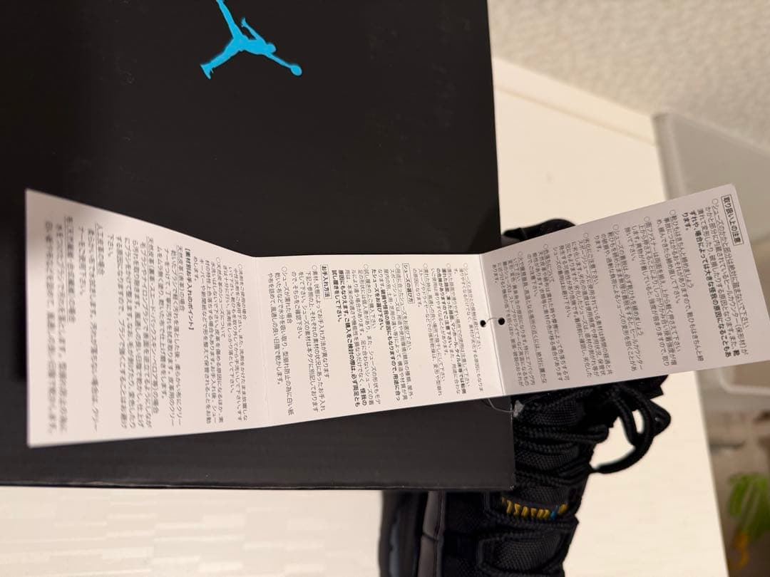 エアジョーダン11 ガンマブルー24.5cm 新品未使用