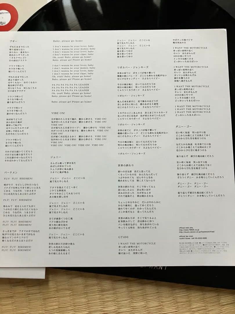 ミッシェルガンエレファント　106 TMGE アナログ　レコード