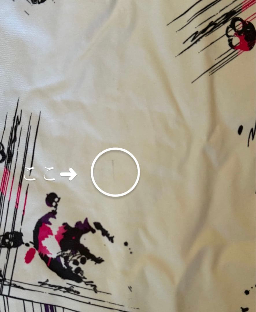 SECRET GARDEN スノーボードウェア セットMサイズ