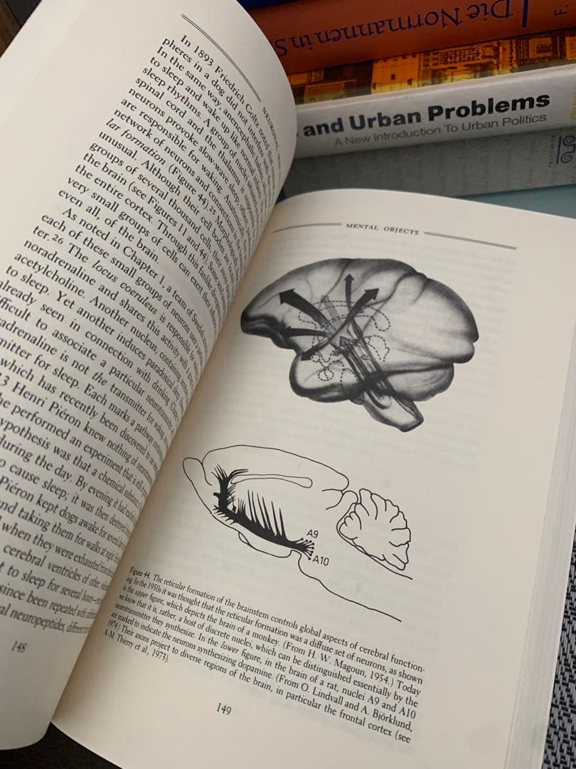 希少　Neuronal Man: The Biology of Mind