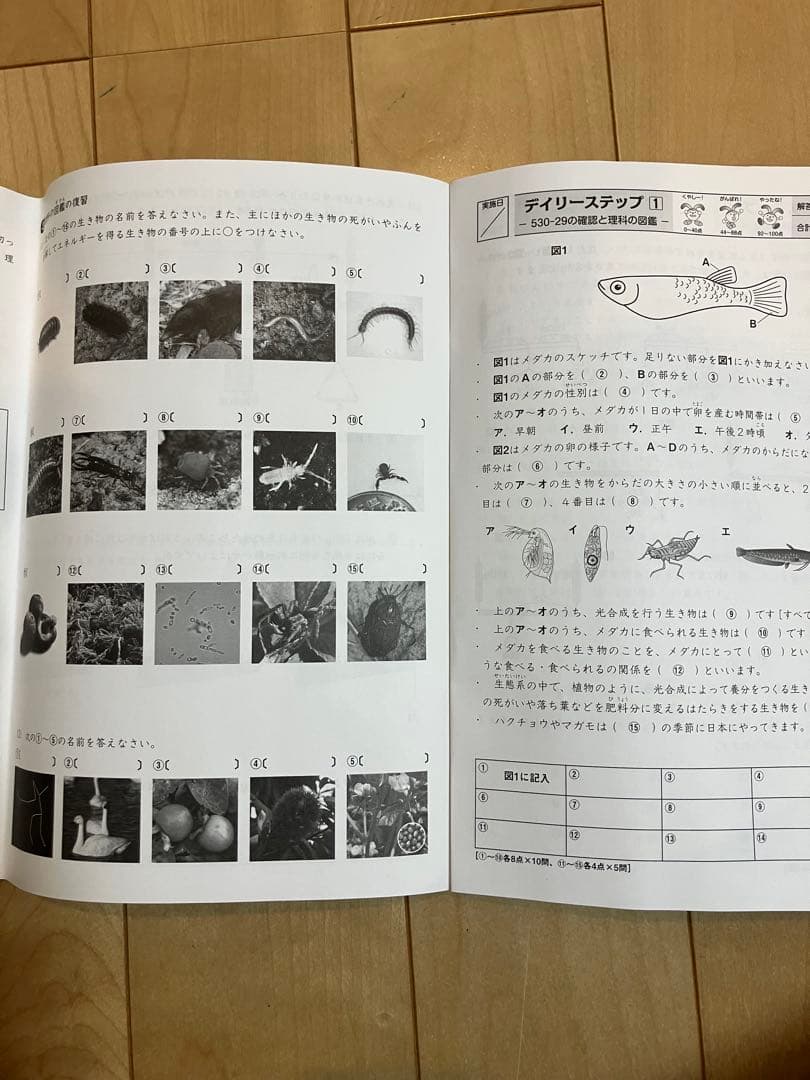 サピックス　SAPIX　5年　理科　テキスト1年分　2024年度版
