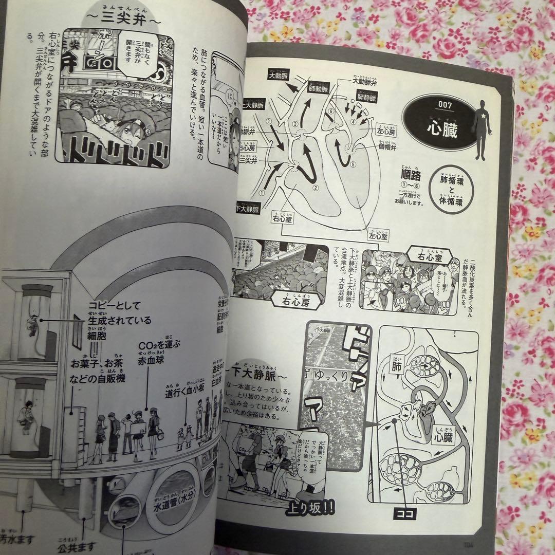 はたらく細胞 全巻セット 清水茜 漫画 マンガ はたらく細胞BLACK