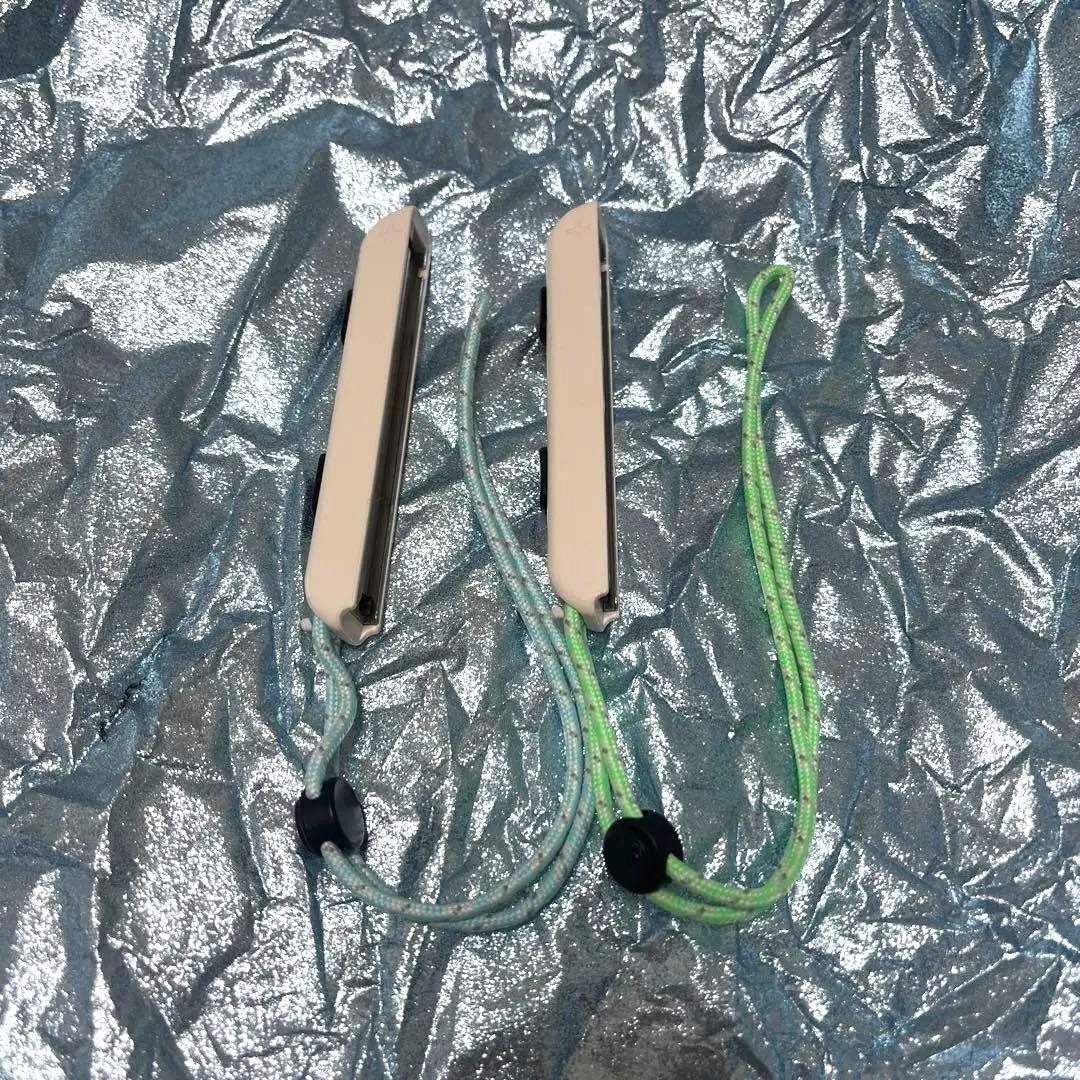 Nintendo Switchあつまれどうぶつの森エディション本体