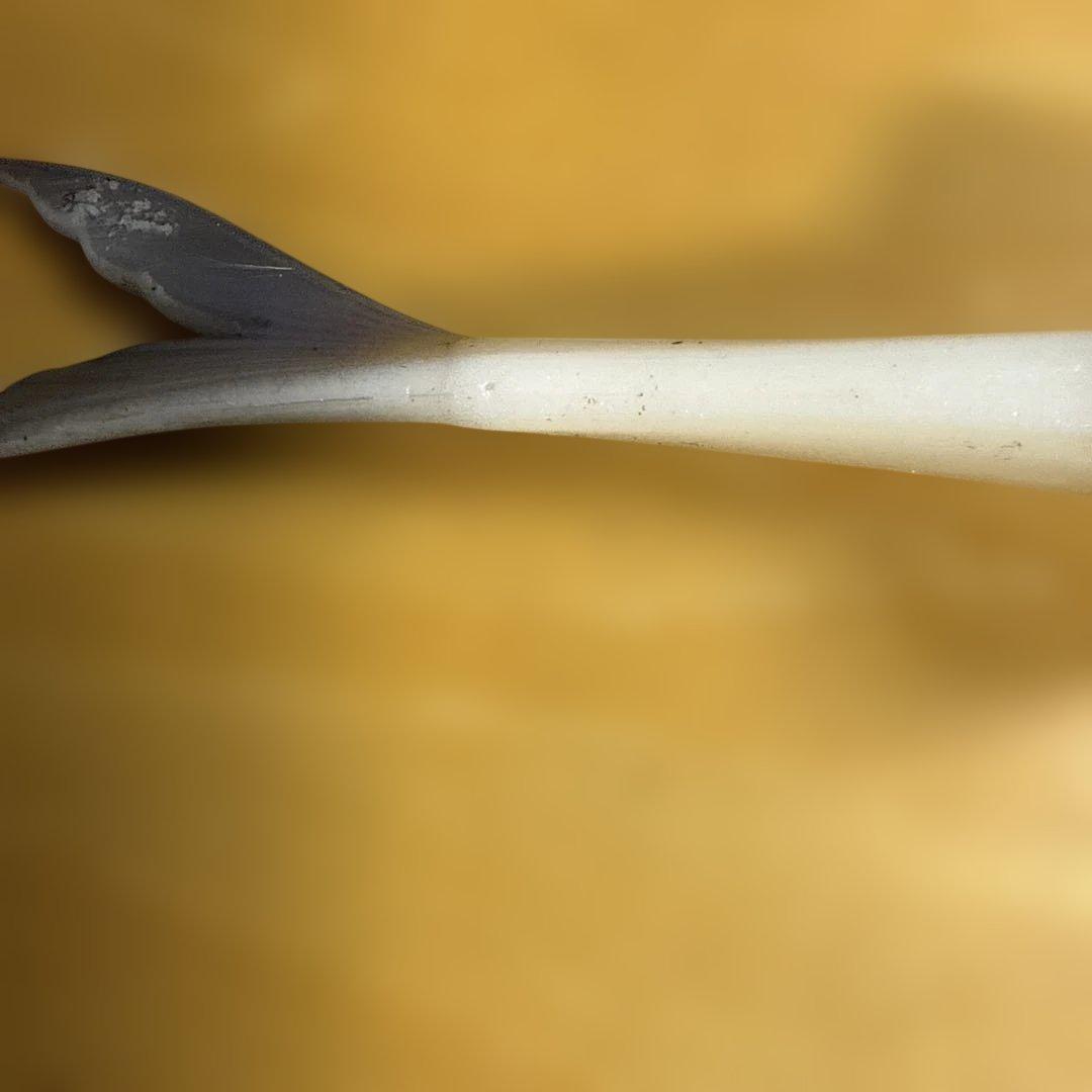 グローデザインワークス FLAG255