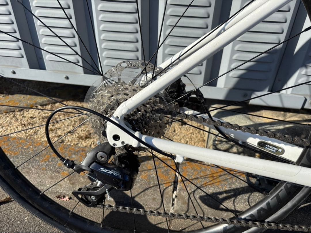 TREK DOMANE AL3 Disc サイズ49 美品