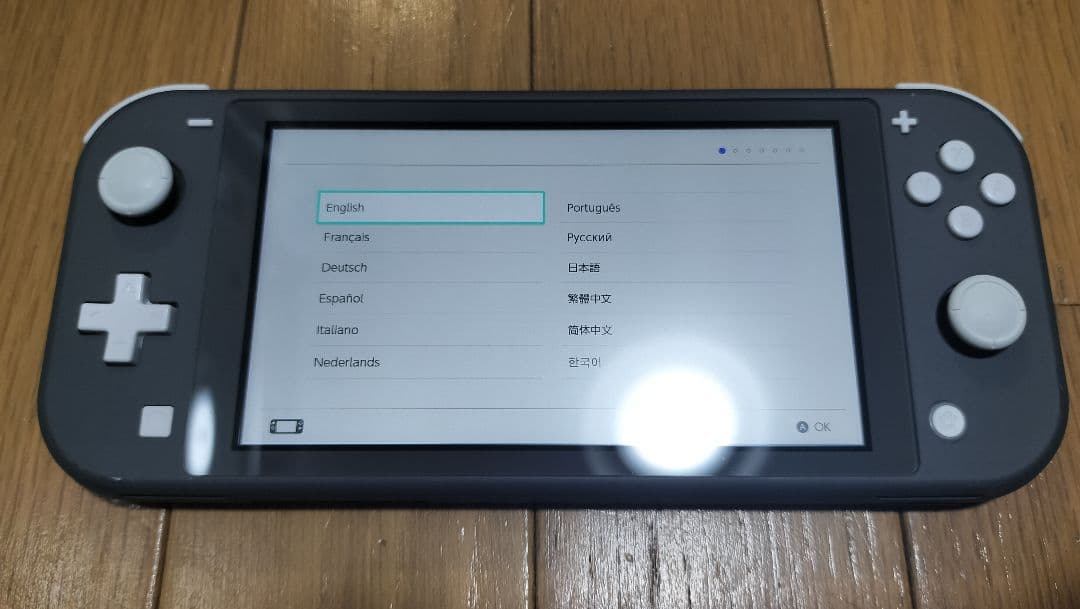 【値下げ】Nintendo Switch Lite グレー ケース付き
