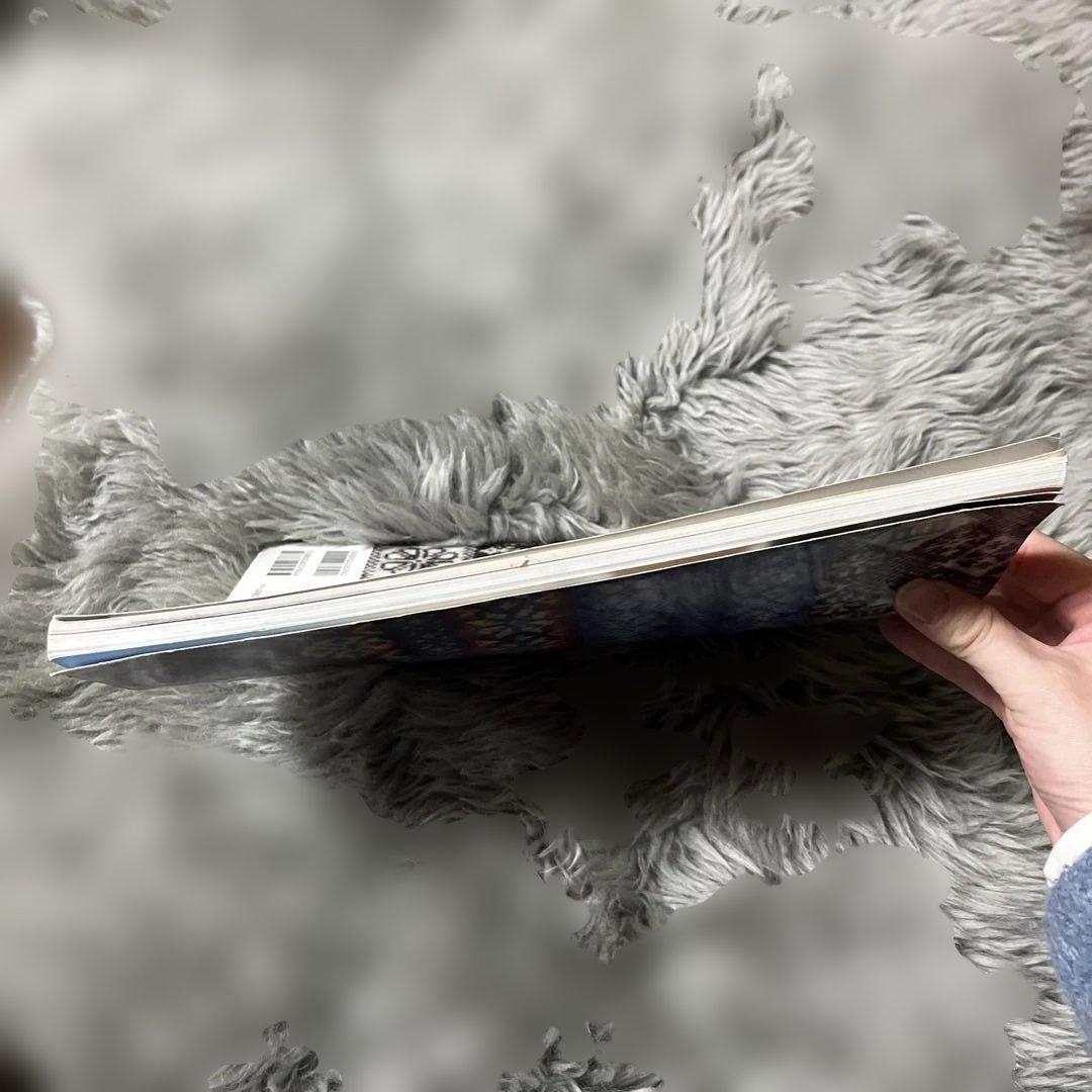 値下げ！黒ゆきこのフェアアイル・テキスト