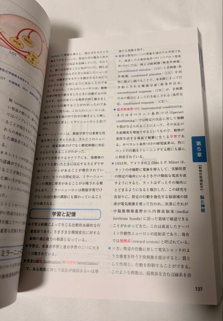 愛玩動物看護師カリキュラム全10巻セット