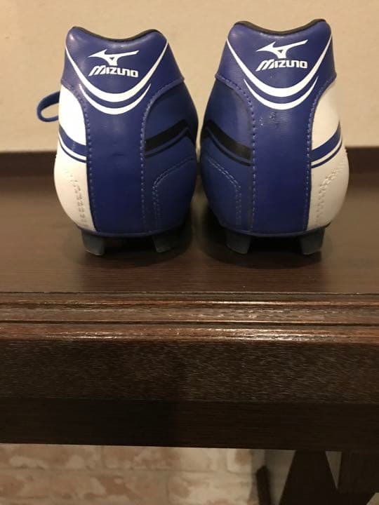 本田圭介 モデル