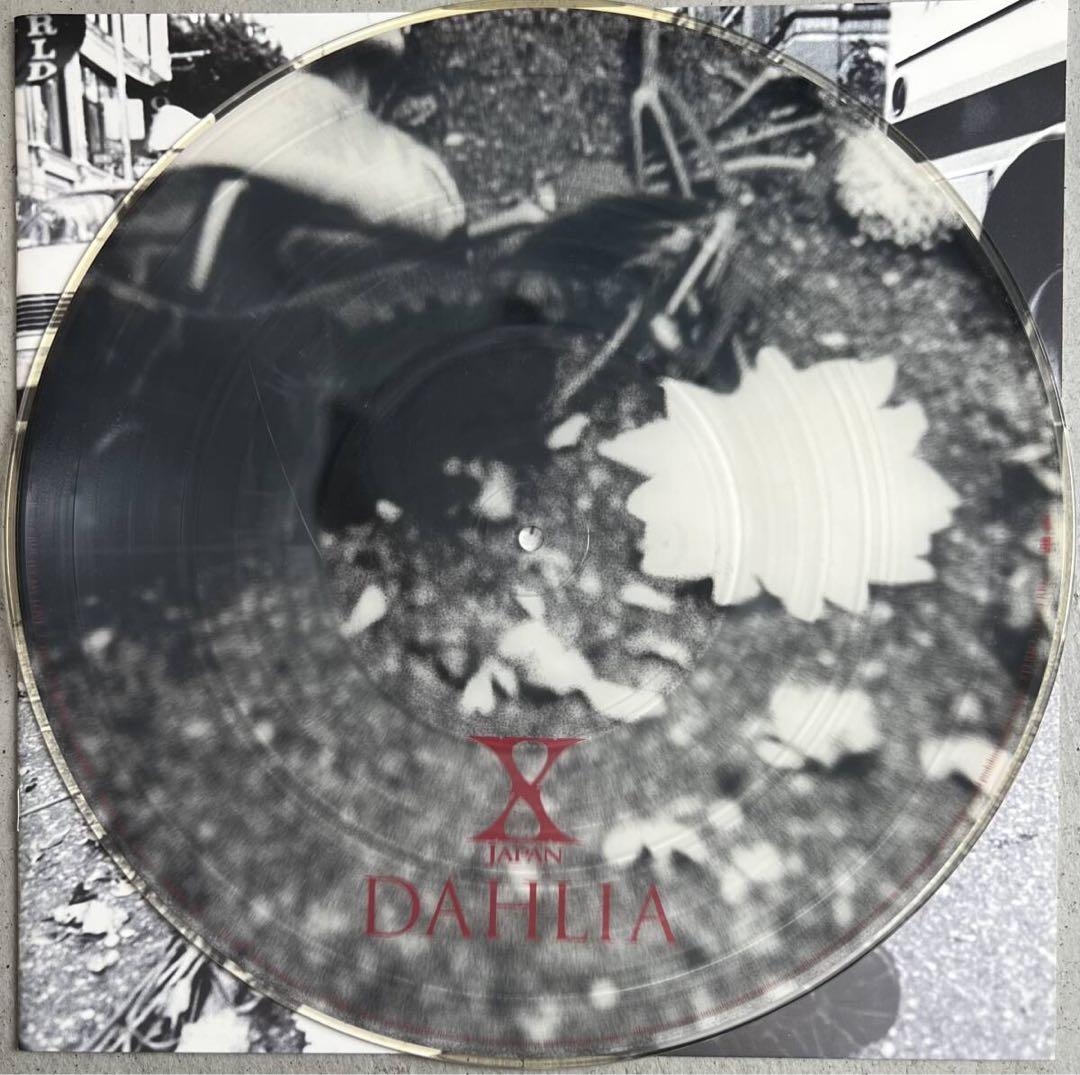 邦楽 X Japan - Dahlia