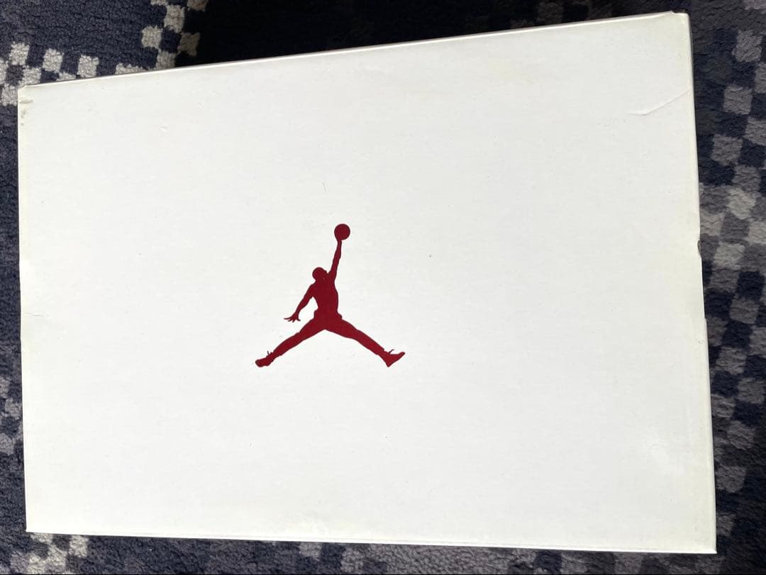 エアジョーダン 10 I’m back 26cm