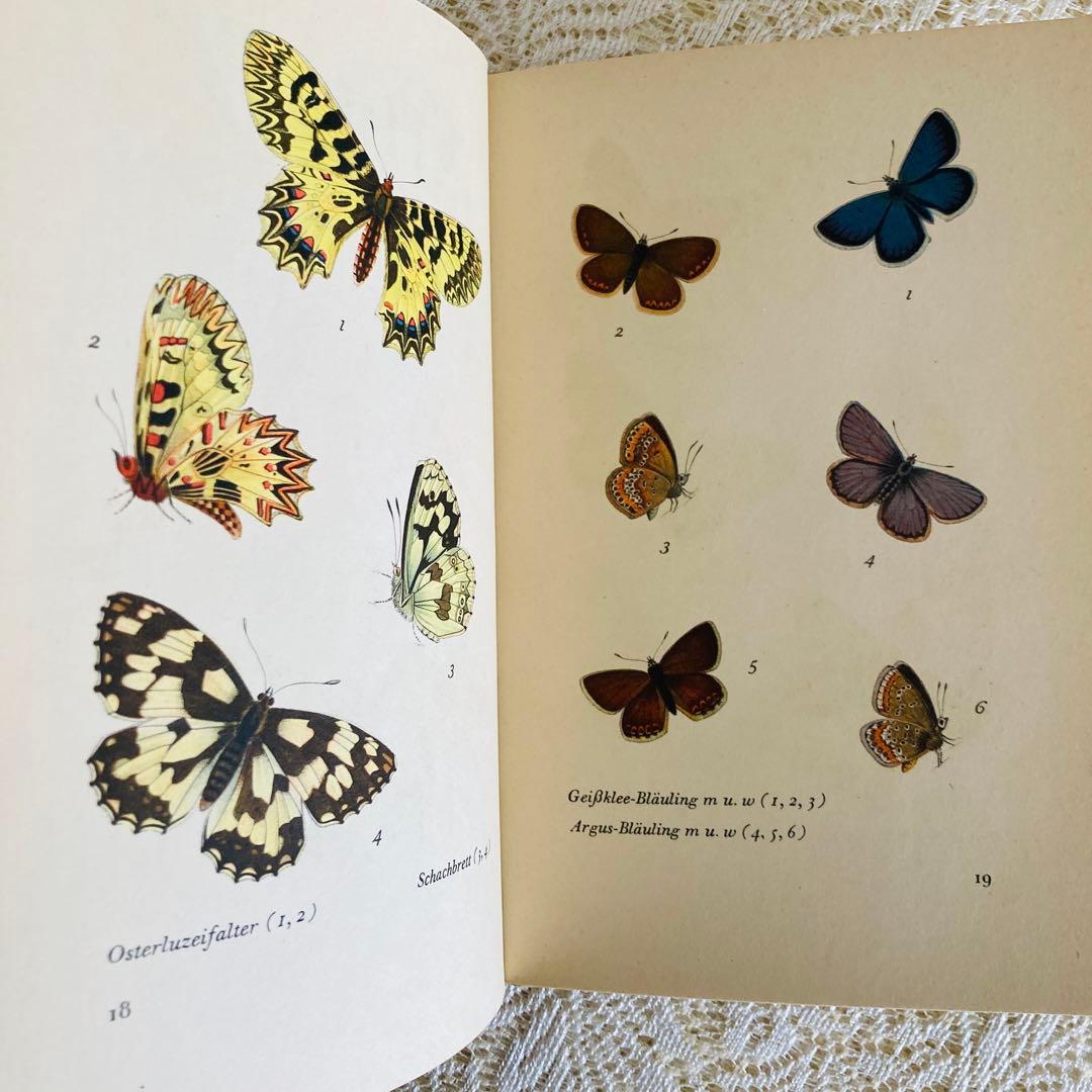 まとめ売り♪　インゼル文庫3点セット　鳥・蝶・木の図鑑　ドイツ古書