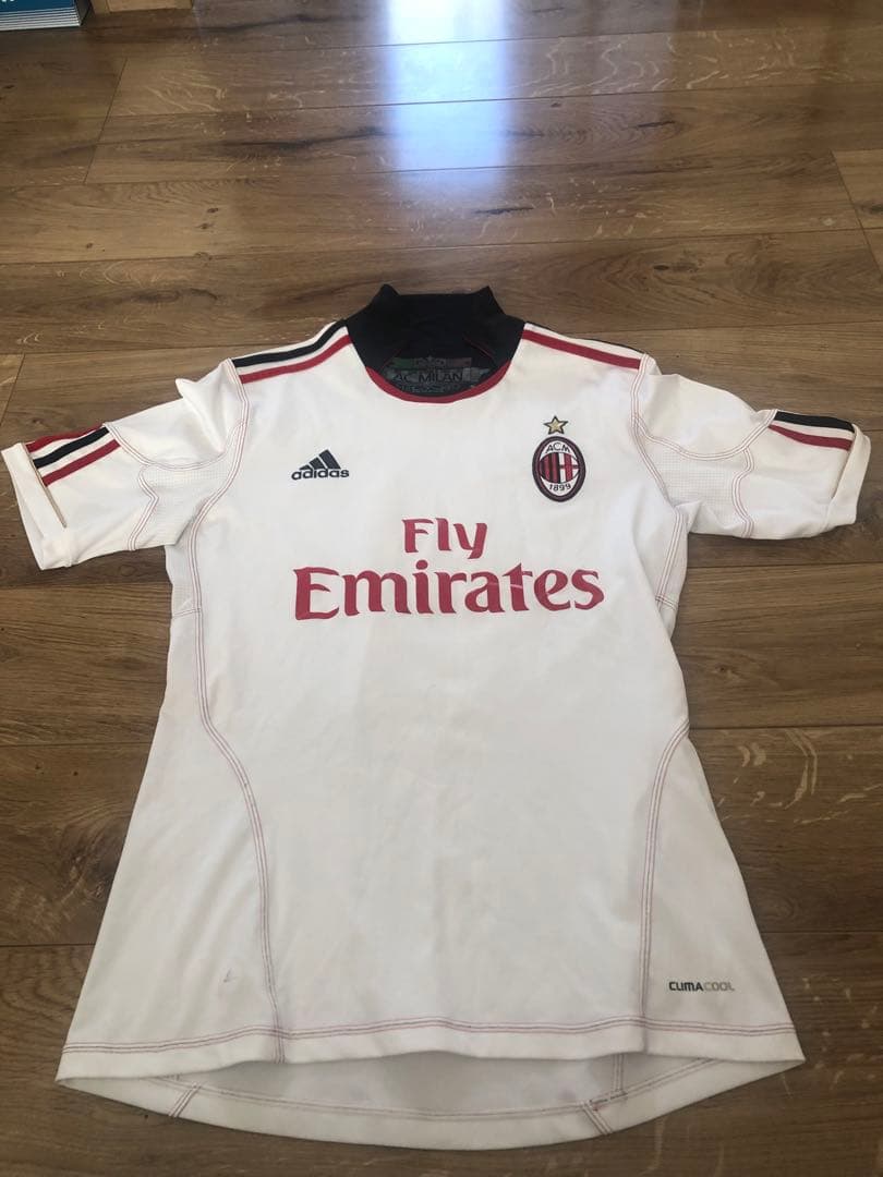 イブラヒモビッチ ACミラン 10/11