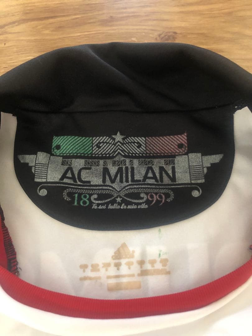 イブラヒモビッチ ACミラン 10/11