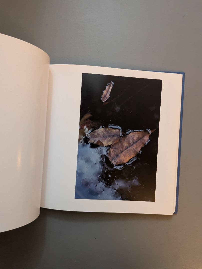 A DREAM 蒼井優 写真集